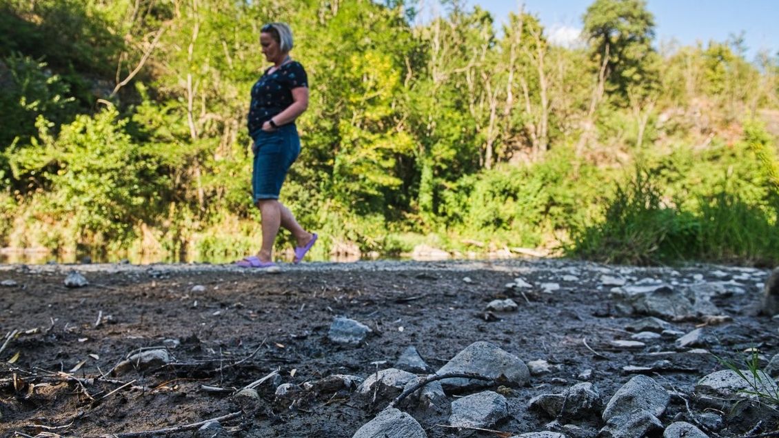 Suchá, nikoli zelená krajina. Česko neúspěšně čelí spolčení hlupců a hrozba sucha je stále větší